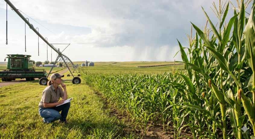 Multi-Peril and Crop-Hail Insurance in South Dakota